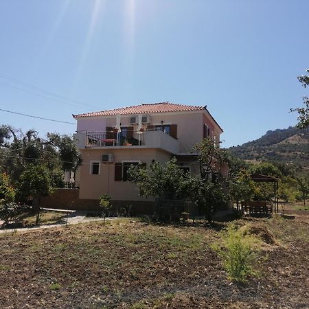 אנאקסוס Vassilis Studios מראה חיצוני תמונה
